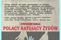 grafika pol 13