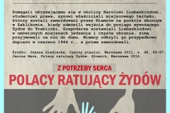grafika pol 25