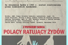grafika pol 30